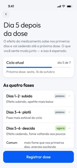 A tela do ciclo da dose, com as quatro fases